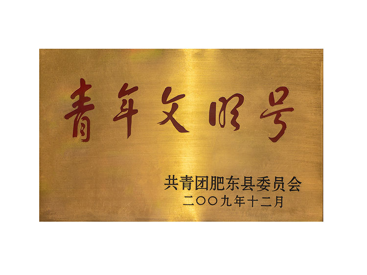 肥東青年文明號